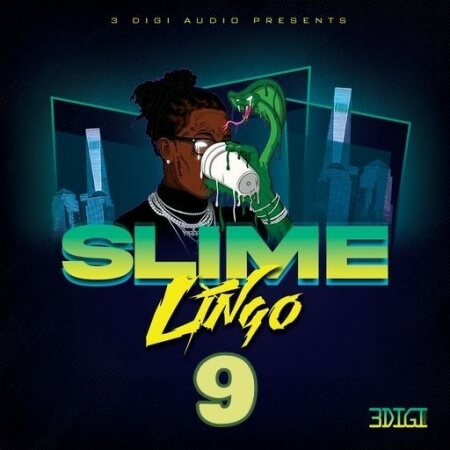 3 Digi Audio Slime Lingo 9 WAV